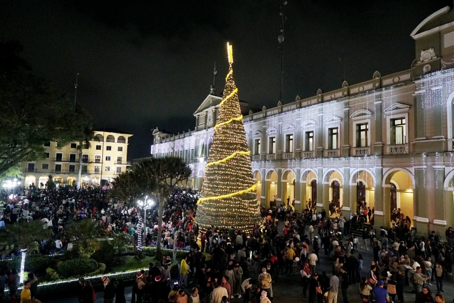 Con encendido del árbol inician los festejos navideños en Córdoba