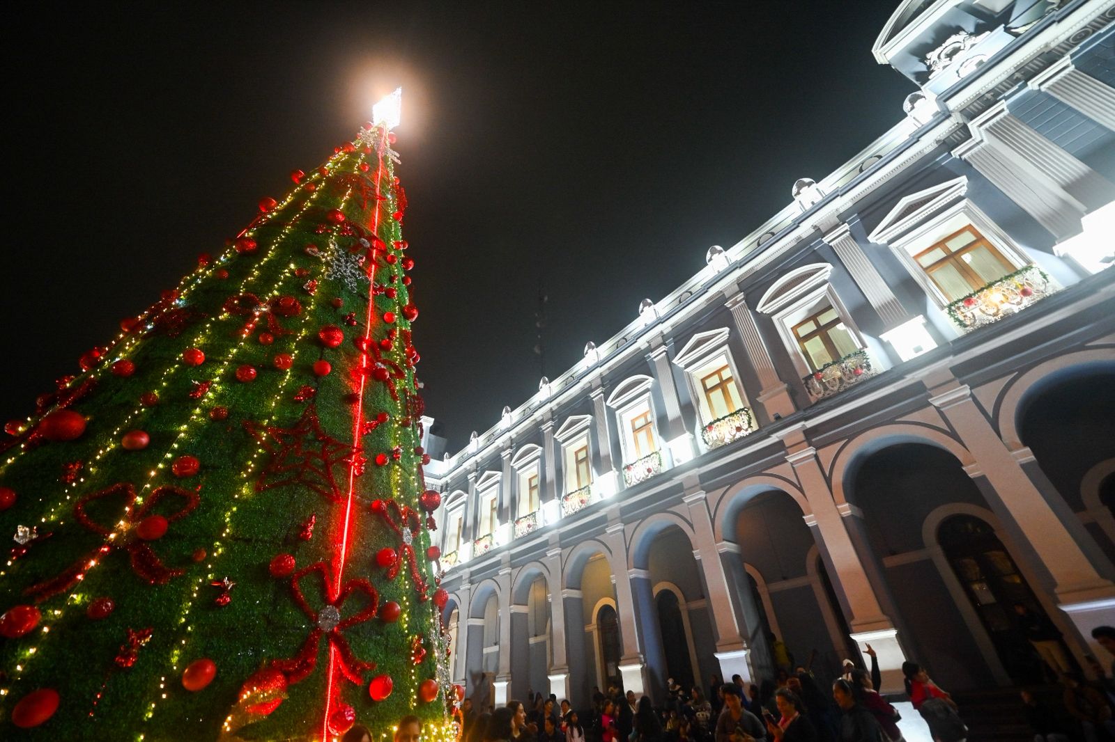 Ilumina la Navidad a familias cordobesas en el encendido del pino