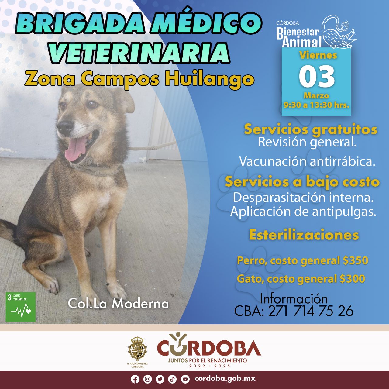 brigada medico veterinaria zona campos huilangos