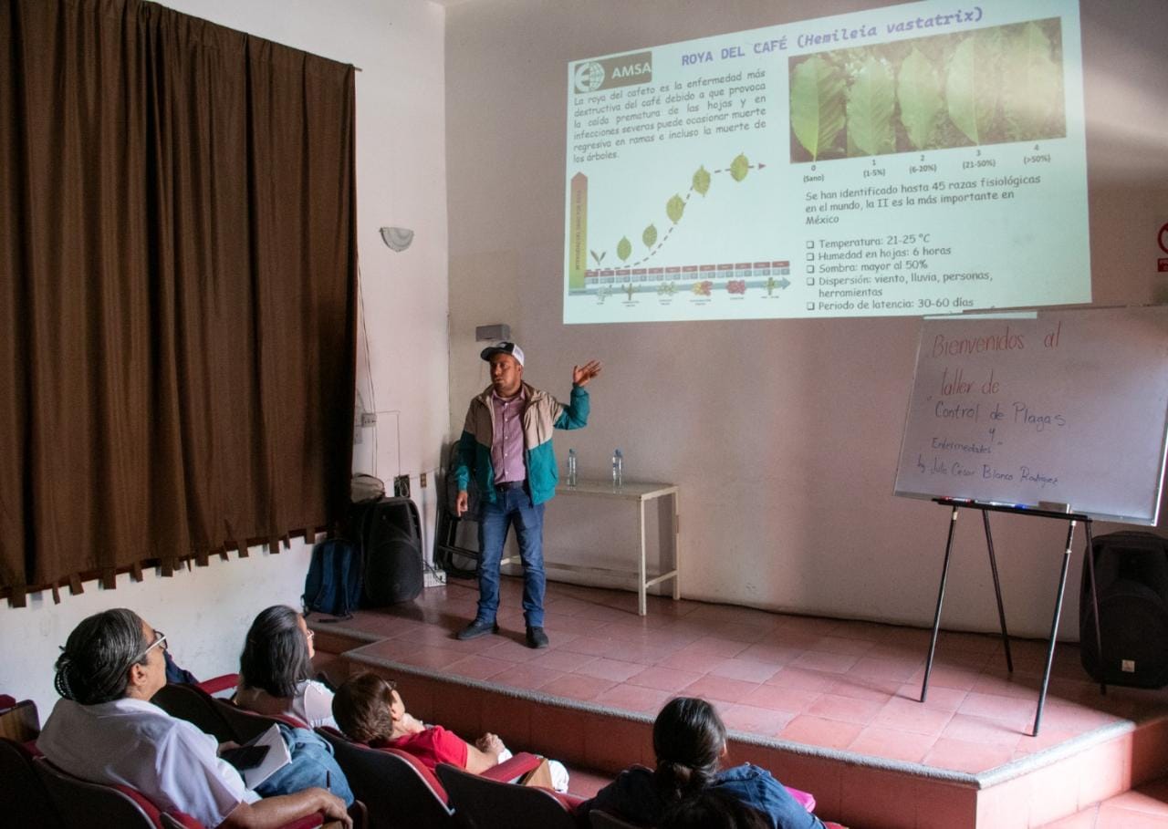 Imparten ponencia sobre plagas y nutrición foliar a productores de café