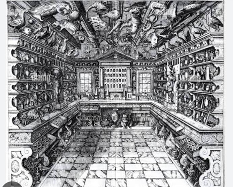 Los gabinetes de curiosidades