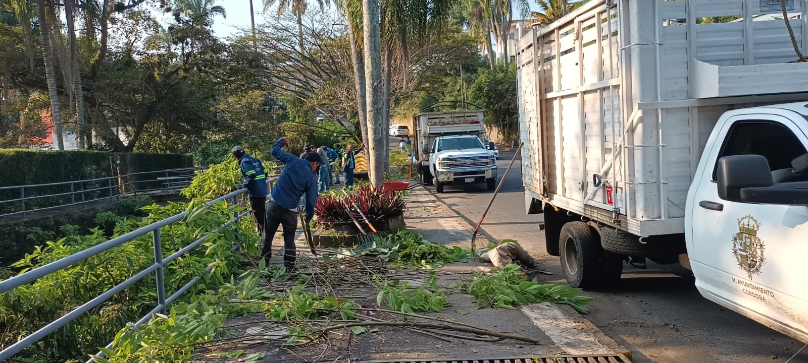 AYUNTAMIENTO INICIA JORNADAS DE CHAPEO, PODA Y LIMPIEZA EN DIFERENTES PUNTOS DEL MUNICIPIO