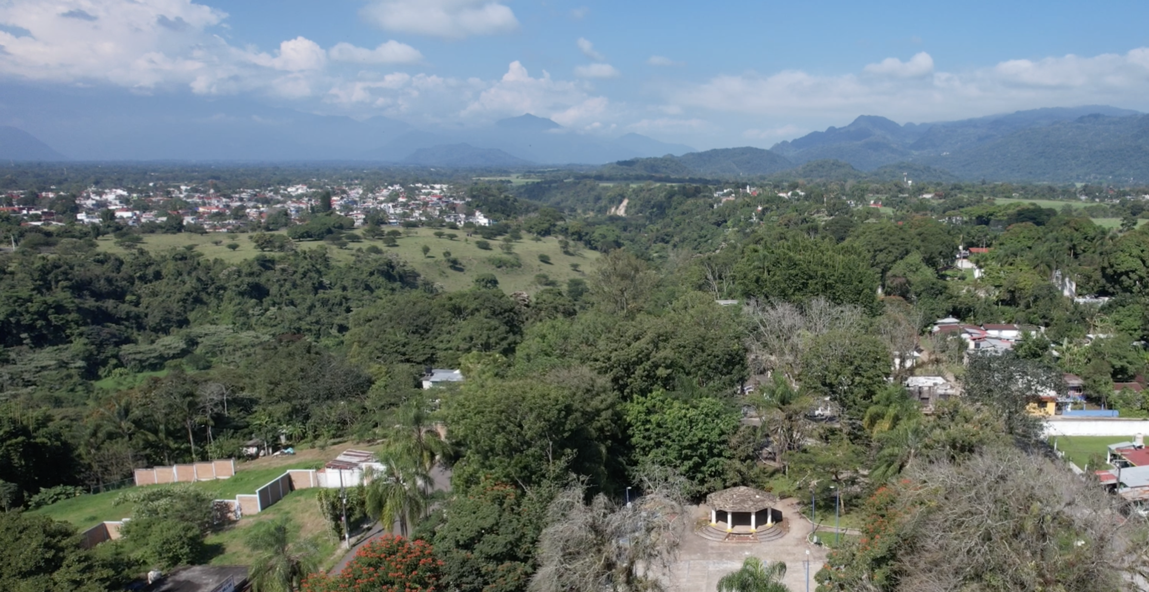 ELECCIÓN DE AGENTES Y SUBAGENTES MUNICIPALES PARA EL ESTADO DE VERACRUZ DE IGNACIO DE LA LLAVE