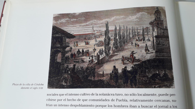 Independizarse de la corona española: la constitución que influyó en la batalla del 21 de mayo