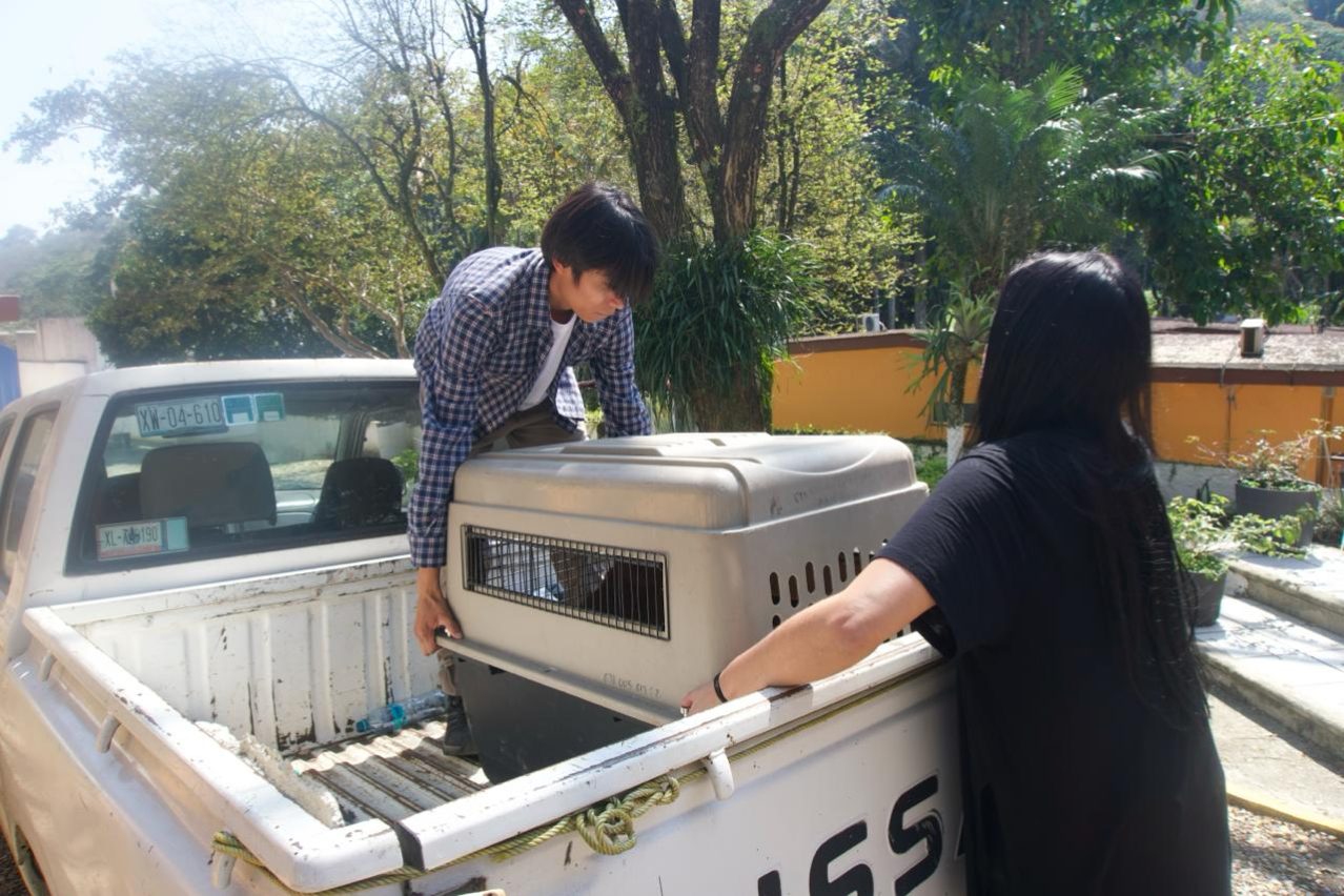 Canelo encuentra un nuevo hogar lleno de amor y esperanza